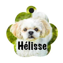 Médaille pour chiens personnalisable